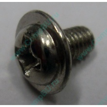 Компьютерный винт "малый" PW-M3x6mm (Щёлковская)