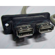 USB-разъемы HP 451784-001 (459184-001) для корпуса HP 5U tower (Щёлковская)