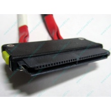 SATA-кабель для корзины HDD HP 451782-001 459190-001 для HP ML310 G5 (Щёлковская)