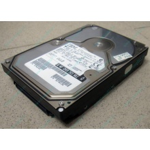 Жесткий диск 18.2Gb IBM Ultrastar DDYS-T18350 Ultra3 80 pin SCSI (Щёлковская)