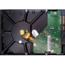 Б/У жёсткий диск 1Tb Western Digital WD10EVVS Green (WD AV-GP 1000 GB) 5400 rpm SATA (Щёлковская)