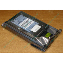 Жёсткий диск 146.8Gb HP 365695-008 404708-001 BD14689BB9 256716-B22 MAW3147NC 10000 rpm Ultra320 Wide SCSI купить в Щёлковской, цена (Щёлковская).