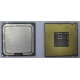 Процессор Intel Celeron D 336 (2.8GHz /256kb /533MHz) SL98W s.775 (Щёлковская)