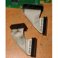 6017B0045701 Шлейф 24 pin для Intel C74974-401 T0043401-B01 корпуса SR2400 (Щёлковская)