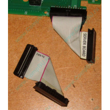 6017B0045701 Шлейф 24 pin для Intel C74974-401 T0043401-B01 корпуса SR2400 (Щёлковская)