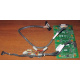 Корзина 59P5159 24P2578 IBM X225 / X226 / X235 / X255 / X266 xSeries servers FRU59P5159 FRU24P2578 (Щёлковская)
