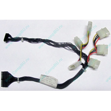 59P4789 FRU 59P4792 в Щёлковской, кабель IBM 59P4789 FRU 59P4792 для серверов X225 (Щёлковская)