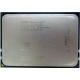 AMD Opteron 6128 OS6128WKT8EGO (Щёлковская)