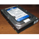 Жесткий диск 500Gb WD WD5000AAKX HP 634605-003 613208-001 7.2k SATA (Щёлковская)
