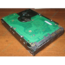 Жесткий диск 300Gb 15k Dell 9CH066-050 6G SAS (Seagate Cheetach ST3300656SS 15K.6) - Щёлковская